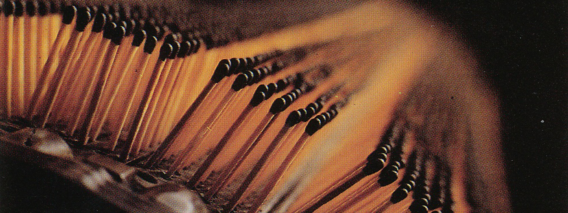 Indonesian Safety Matches